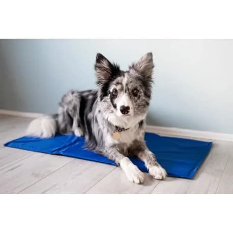 Pet Supplies Mata chłodząca dla psa i kota – 90 x 50