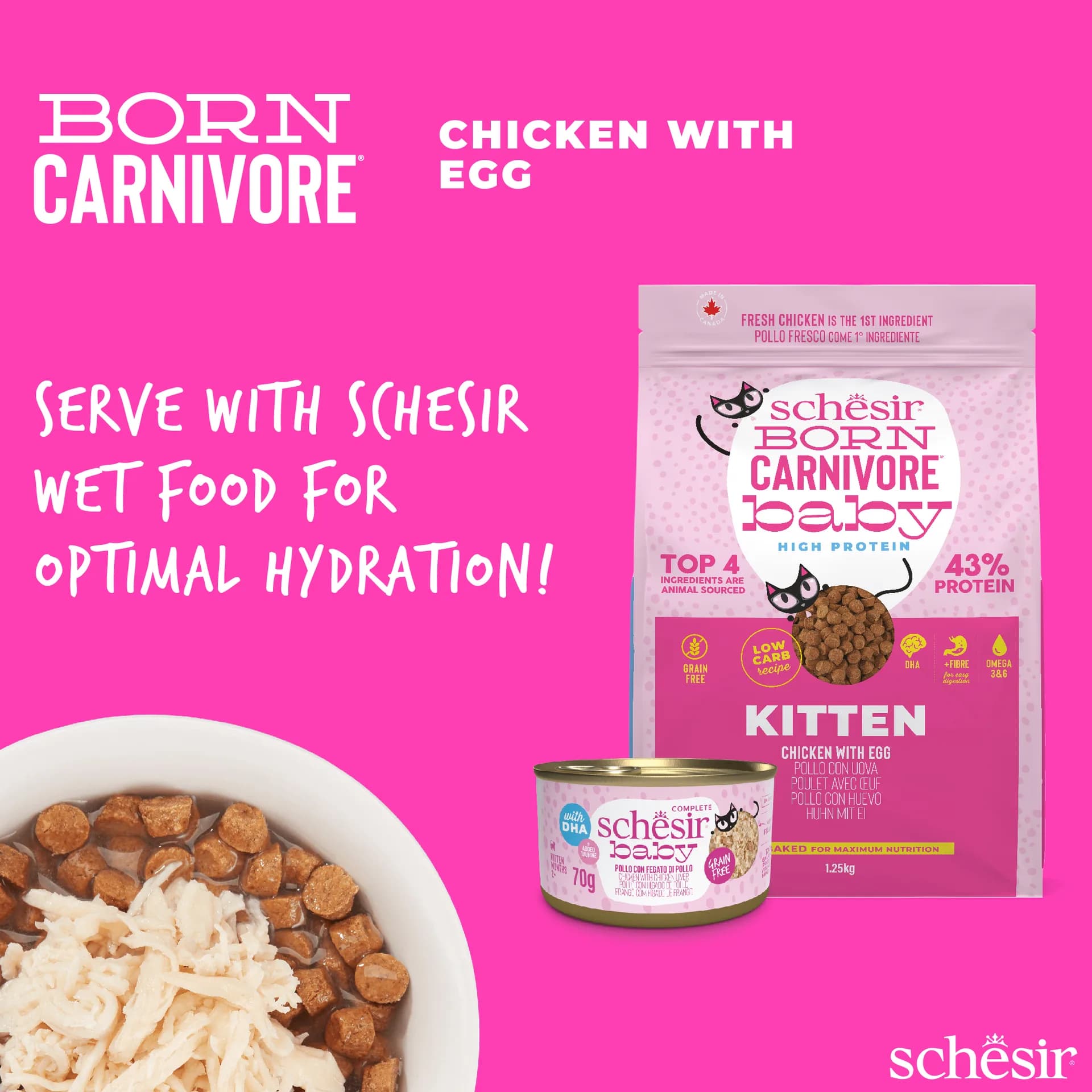 Schesir Born Carnivore karma sucha dla kociąt kurczak z jajkiem – 1,25 kg