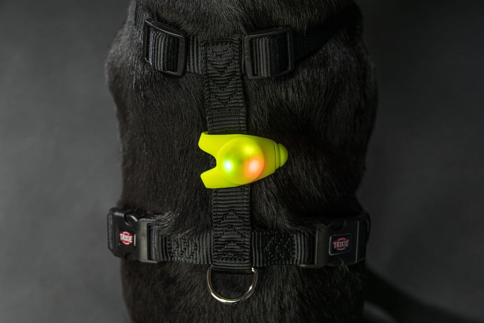 Trixie Flasher Zawieszka ze świecącą diodą dla psów