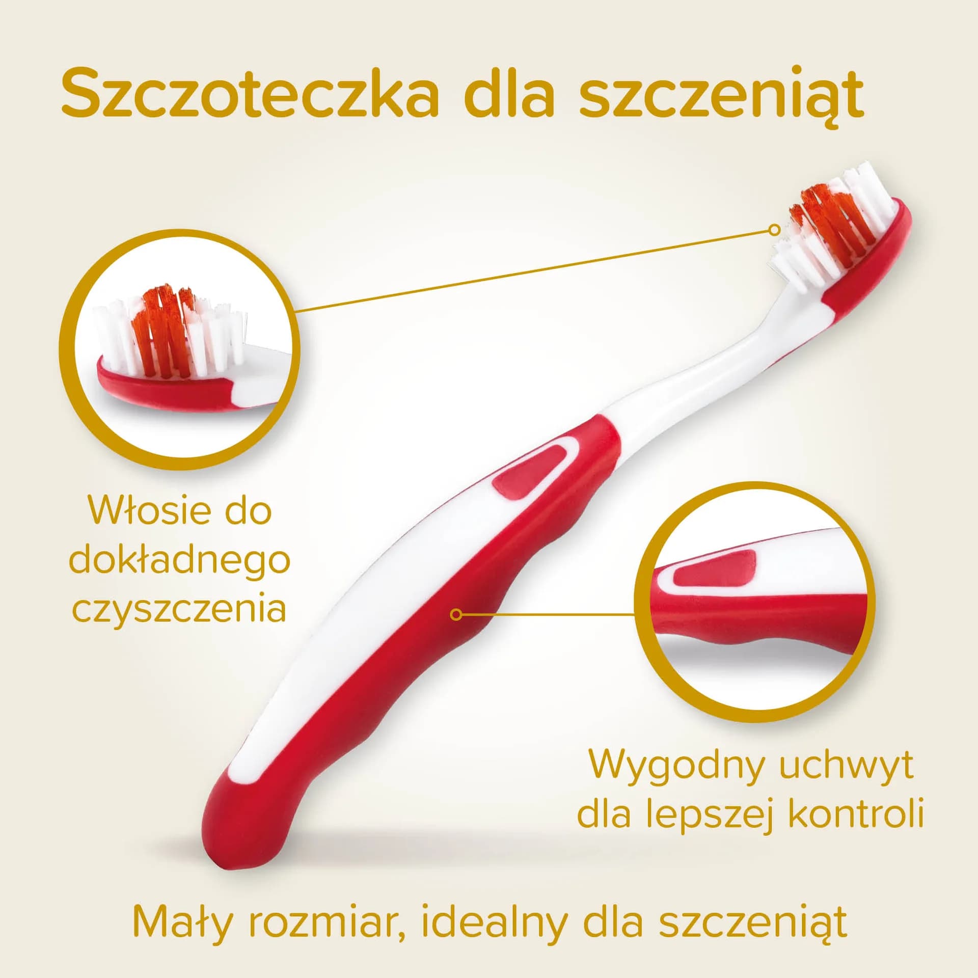 Beaphar Puppy Dental Kit zestaw szczoteczki dla szczeniąt i naparstkowa + pasta do zębów