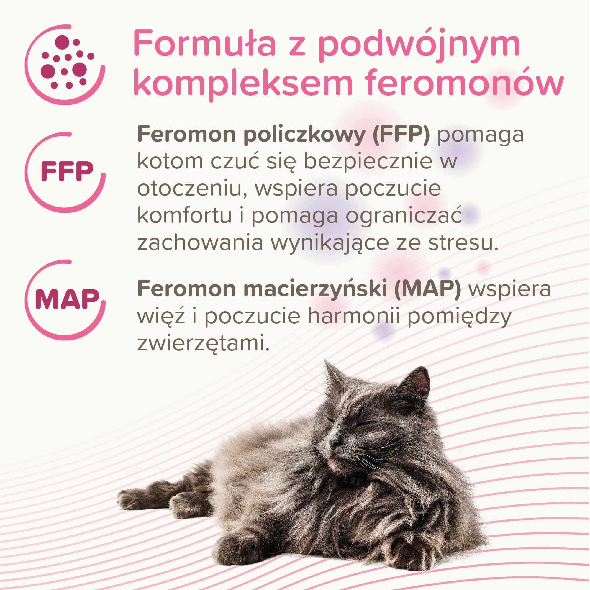 Beaphar Cat Comfort Wkład uzupełniający do dyfuzora dla kota 48 ml