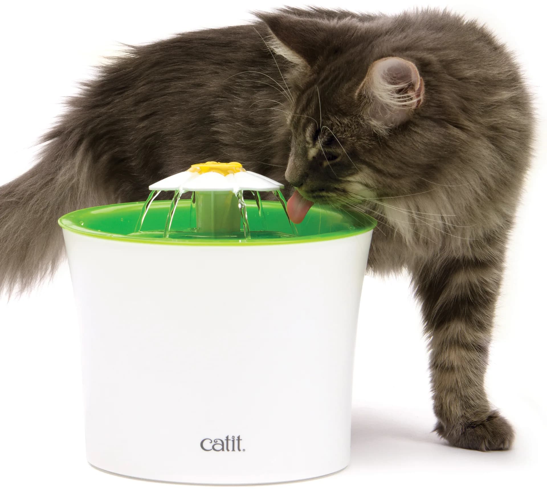 Catit Fontanna Senses 2.0 Flower Fountain dla kota od Hagen