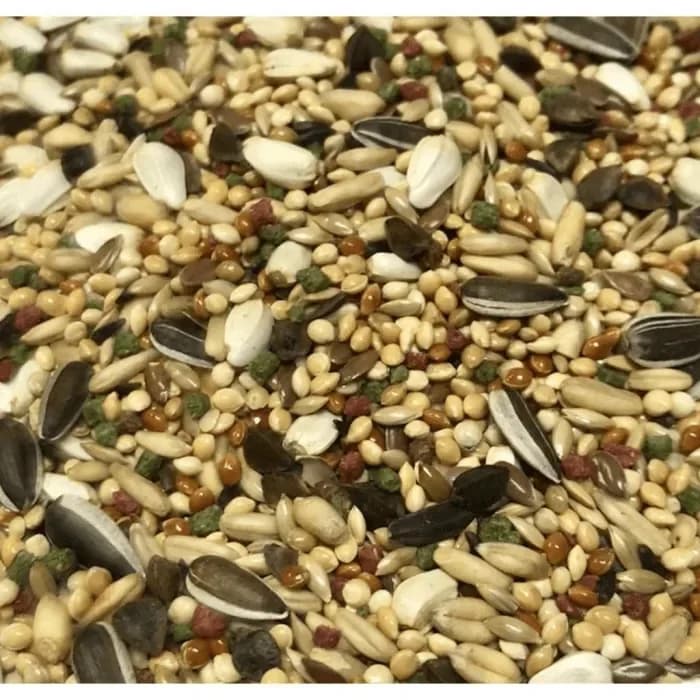 Versele-Laga Australian Parakeet Loro Parque mix pokarm dla średnich australijskich papug 2,5 kg